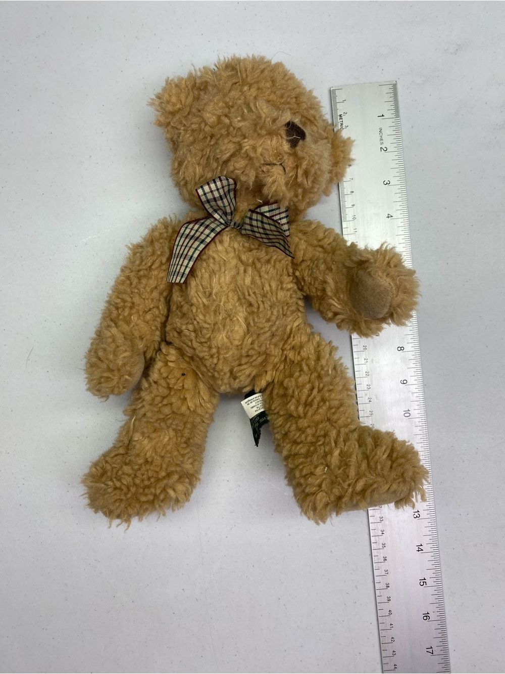 Douglas the Russ Bear